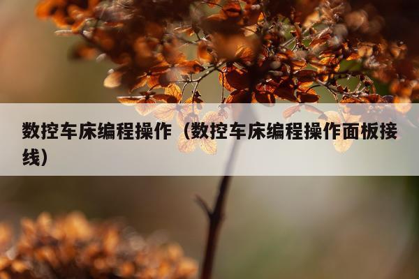 数控车床编程操作（数控车床编程操作面板接线）