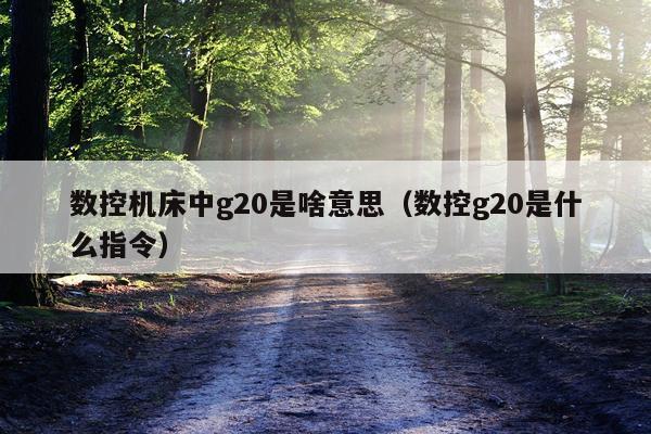 数控机床中g20是啥意思（数控g20是什么指令）