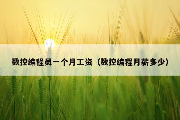 数控编程员一个月工资（数控编程月薪多少）