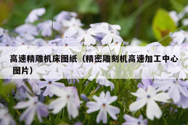 高速精雕机床图纸（精密雕刻机高速加工中心 图片）