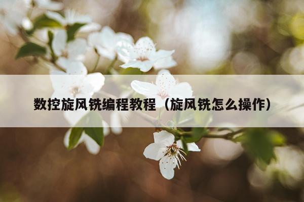 数控旋风铣编程教程（旋风铣怎么操作）
