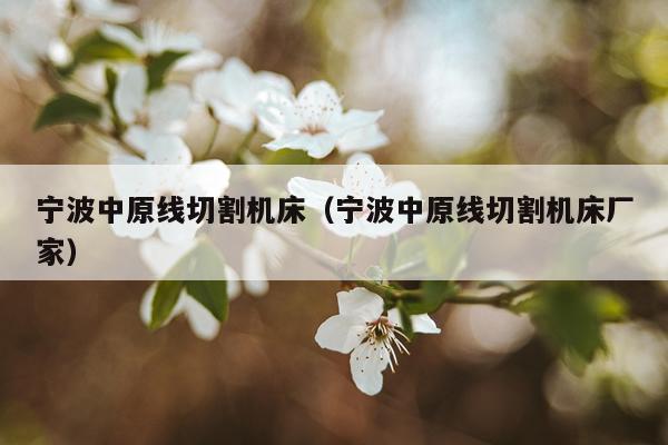 宁波中原线切割机床（宁波中原线切割机床厂家）