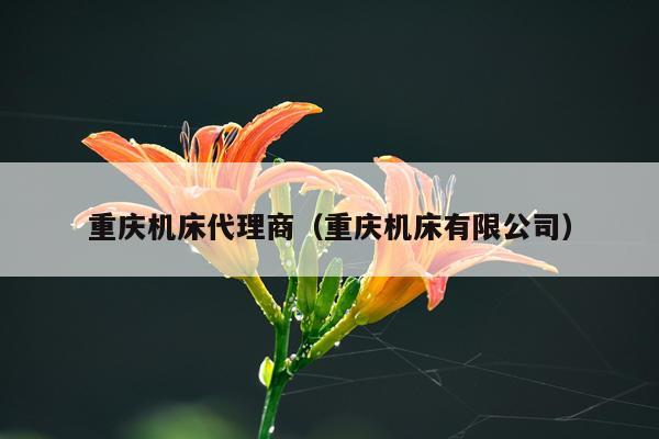 重庆机床代理商（重庆机床有限公司）