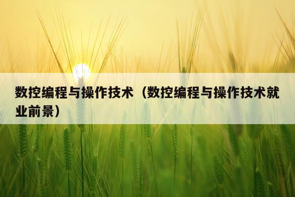 数控编程与操作技术(数控编程与操作技术就业前景)