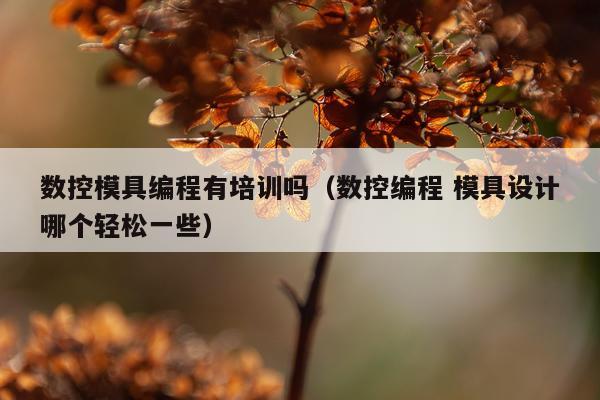 数控模具编程有培训吗(数控编程 模具设计哪个轻松一些)