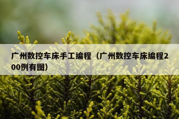 广州数控车床手工编程(广州数控车床编程200例有图)