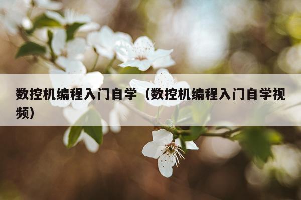 数控机编程入门自学(数控机编程入门自学视频)