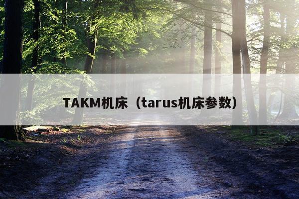 TAKM机床（tarus机床参数）