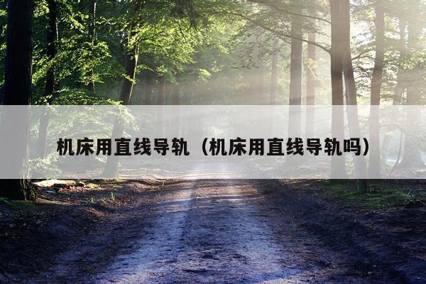机床用直线导轨（机床用直线导轨吗）