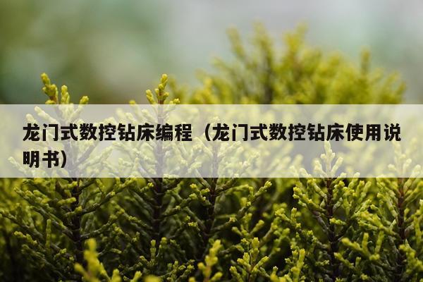 龙门式数控钻床编程（龙门式数控钻床使用说明书）