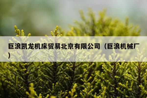 巨浪凯龙机床贸易北京有限公司（巨浪机械厂）