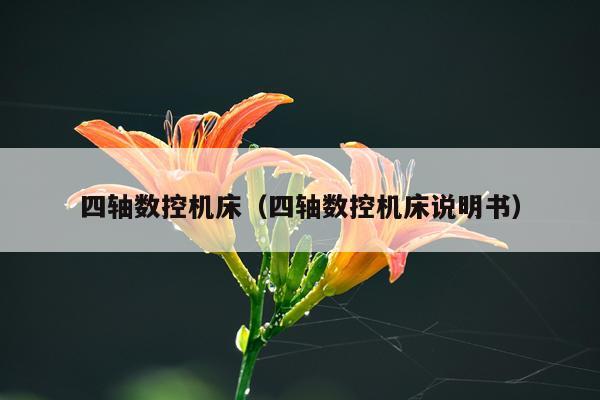 四轴数控机床（四轴数控机床说明书）