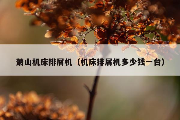 萧山机床排屑机（机床排屑机多少钱一台）