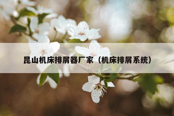 昆山机床排屑器厂家（机床排屑系统）
