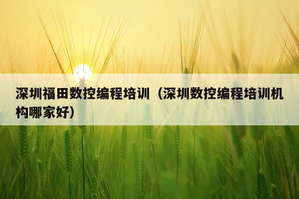 深圳福田数控编程培训（深圳数控编程培训机构哪家好）