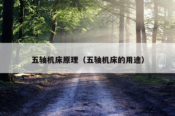 五轴机床原理（五轴机床的用途）