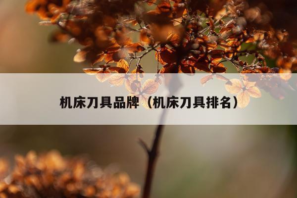 机床刀具品牌（机床刀具排名）
