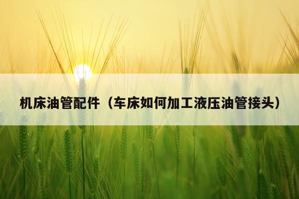 机床油管配件（车床如何加工液压油管接头）