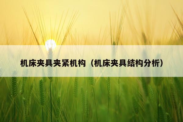 机床夹具夹紧机构（机床夹具结构分析）