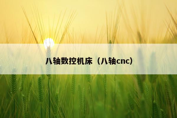 八轴数控机床（八轴cnc）