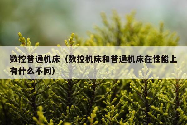 数控普通机床（数控机床和普通机床在性能上有什么不同）