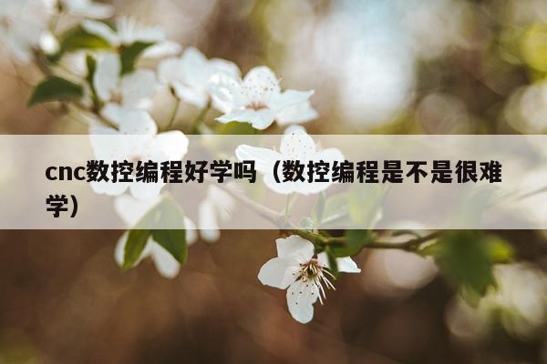 cnc数控编程好学吗（数控编程是不是很难学）