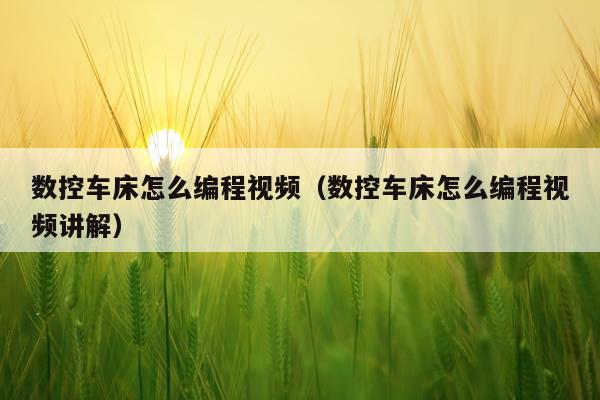 数控车床怎么编程视频(数控车床怎么编程视频讲解)