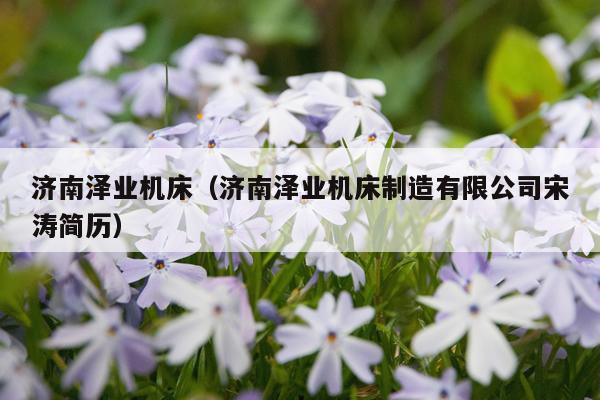 济南泽业机床(济南泽业机床制造有限公司宋涛简历)