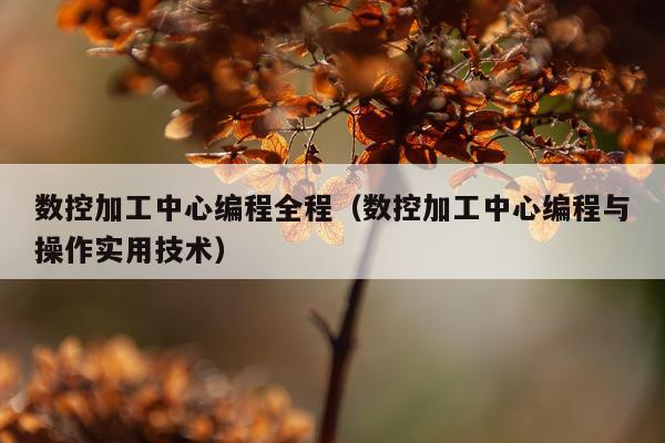 数控加工中心编程全程（数控加工中心编程与操作实用技术）