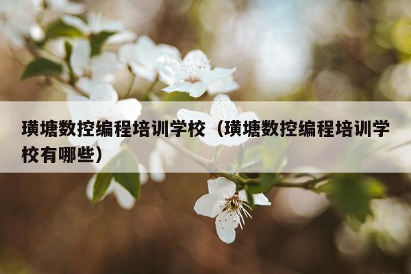 璜塘数控编程培训学校（璜塘数控编程培训学校有哪些）