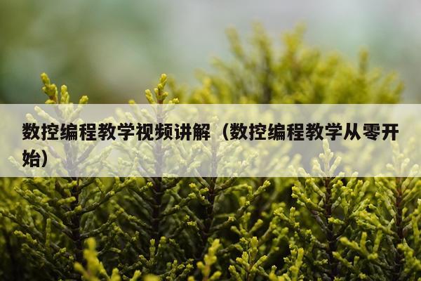数控编程教学视频讲解(数控编程教学从零开始)