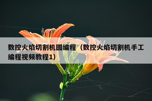 数控火焰切割机圆编程（数控火焰切割机手工编程视频教程1）