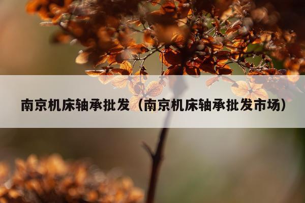 南京机床轴承批发（南京机床轴承批发市场）