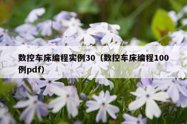 数控车床编程实例30（数控车床编程100例pdf）