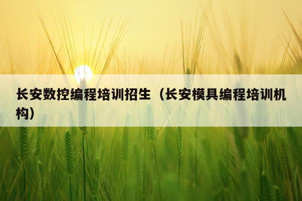 长安数控编程培训招生（长安模具编程培训机构）