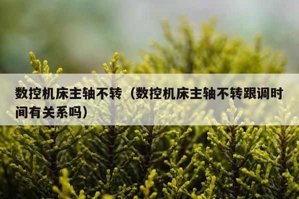 数控机床主轴不转（数控机床主轴不转跟调时间有关系吗）