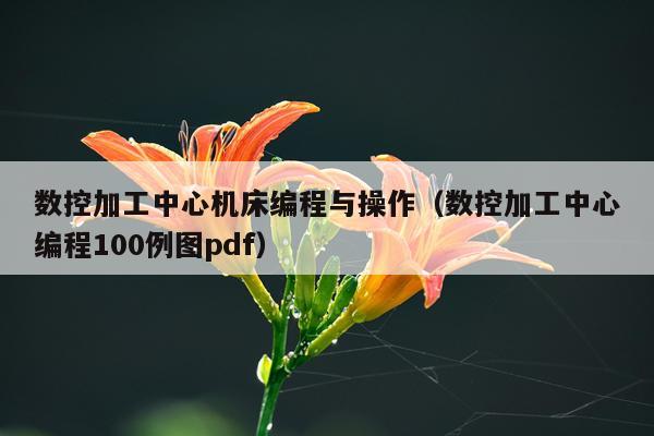 数控加工中心机床编程与操作（数控加工中心编程100例图pdf）