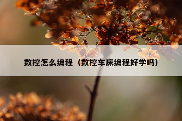 数控怎么编程（数控车床编程好学吗）
