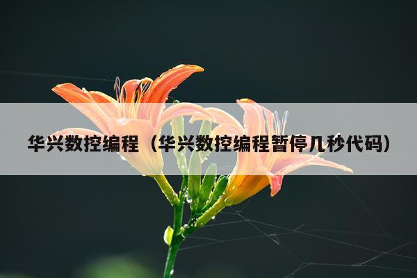 华兴数控编程（华兴数控编程暂停几秒代码）