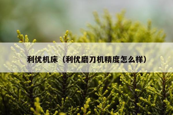 利优机床（利优磨刀机精度怎么样）