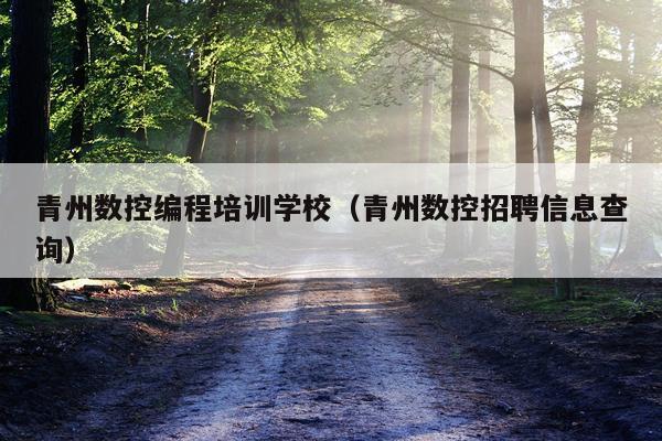 青州数控编程培训学校（青州数控招聘信息查询）