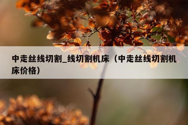 中走丝线切割_线切割机床（中走丝线切割机床价格）