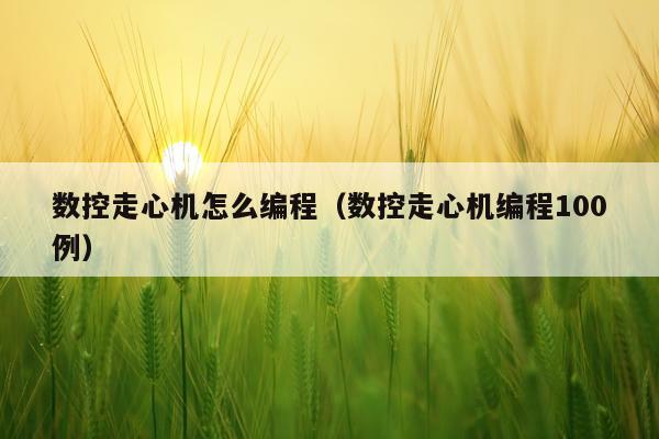 数控走心机怎么编程（数控走心机编程100例）