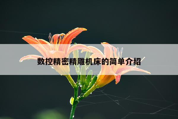 数控精密精雕机床的简单介绍