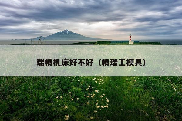 瑞精机床好不好（精瑞工模具）