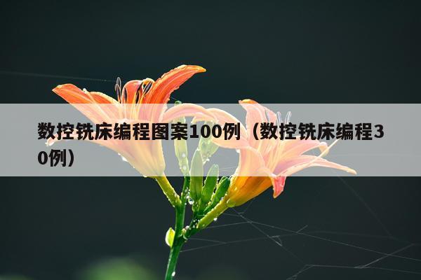数控铣床编程图案100例（数控铣床编程30例）