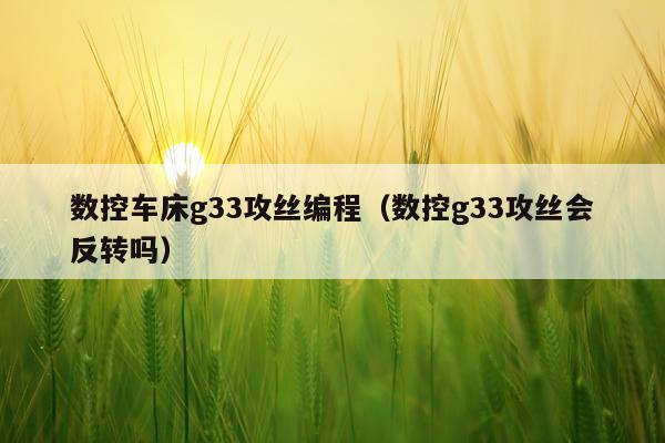 数控车床g33攻丝编程（数控g33攻丝会反转吗）