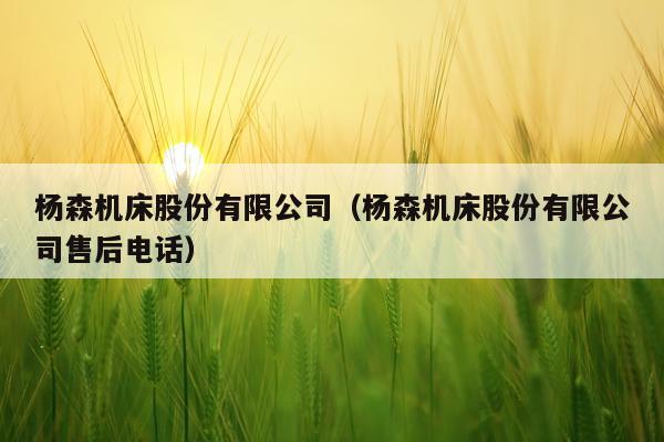 杨森机床股份有限公司(杨森机床股份有限公司售后电话)