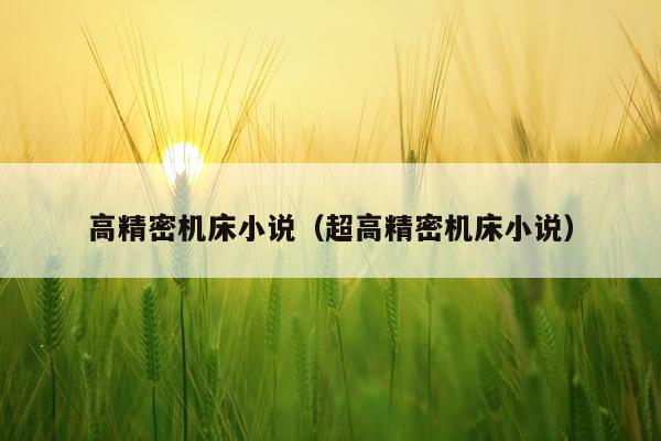 高精密机床小说(超高精密机床小说)