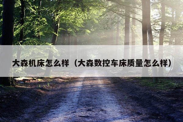 大森机床怎么样（大森数控车床质量怎么样）